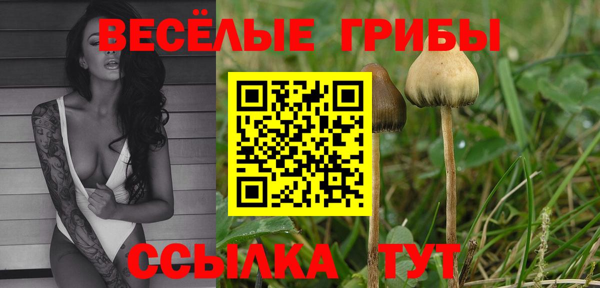 Псилоцибиновые грибы Magic Shrooms Тулун
